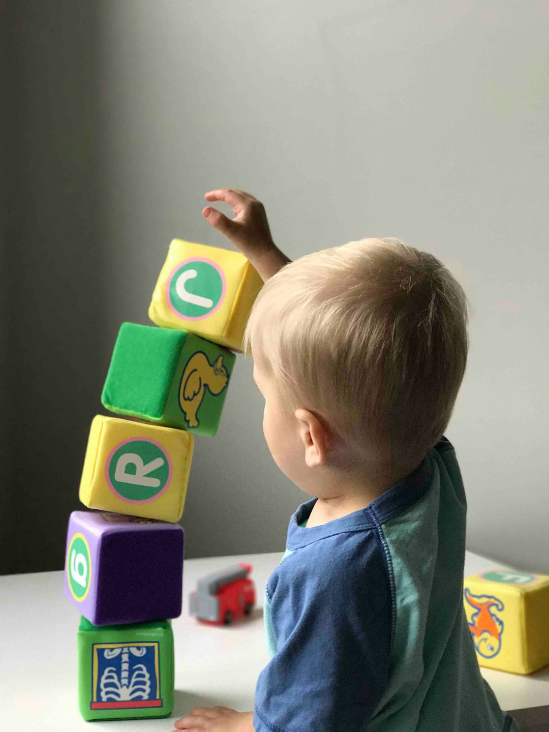 services-02 Baby building stack of blocks